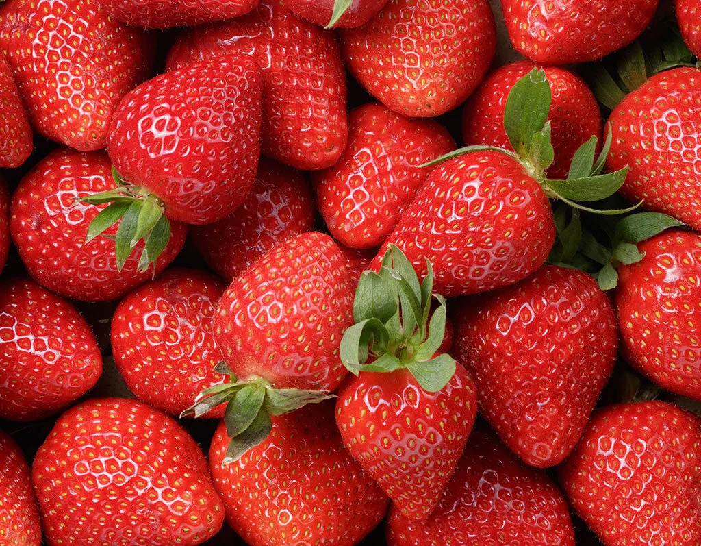 برامج تدريبية لقطاع الفواكه